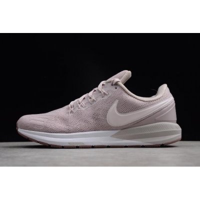 Nike Bayan Air Zoom Structure 22 Particle Pembe / Pembe Koşu Ayakkabısı Türkiye - 7NLEFF7M